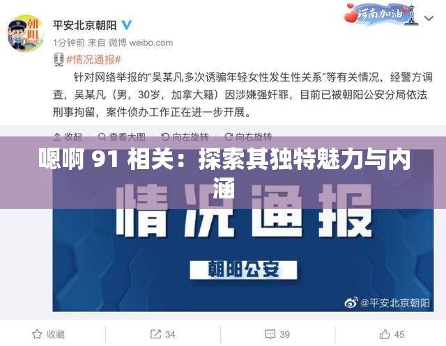 嗯啊 91 相关：探索其独特魅力与内涵
