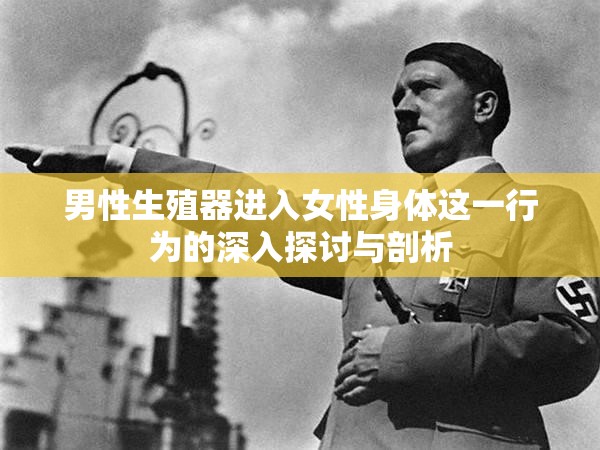 男性生殖器进入女性身体这一行为的深入探讨与剖析
