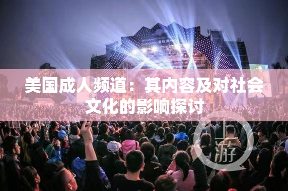 美国成人频道：其内容及对社会文化的影响探讨