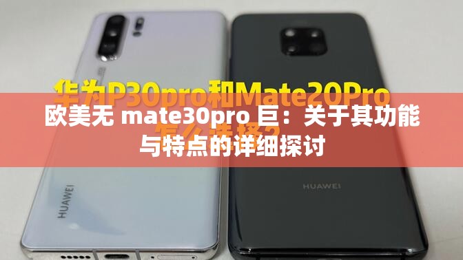 欧美无 mate30pro 巨：关于其功能与特点的详细探讨