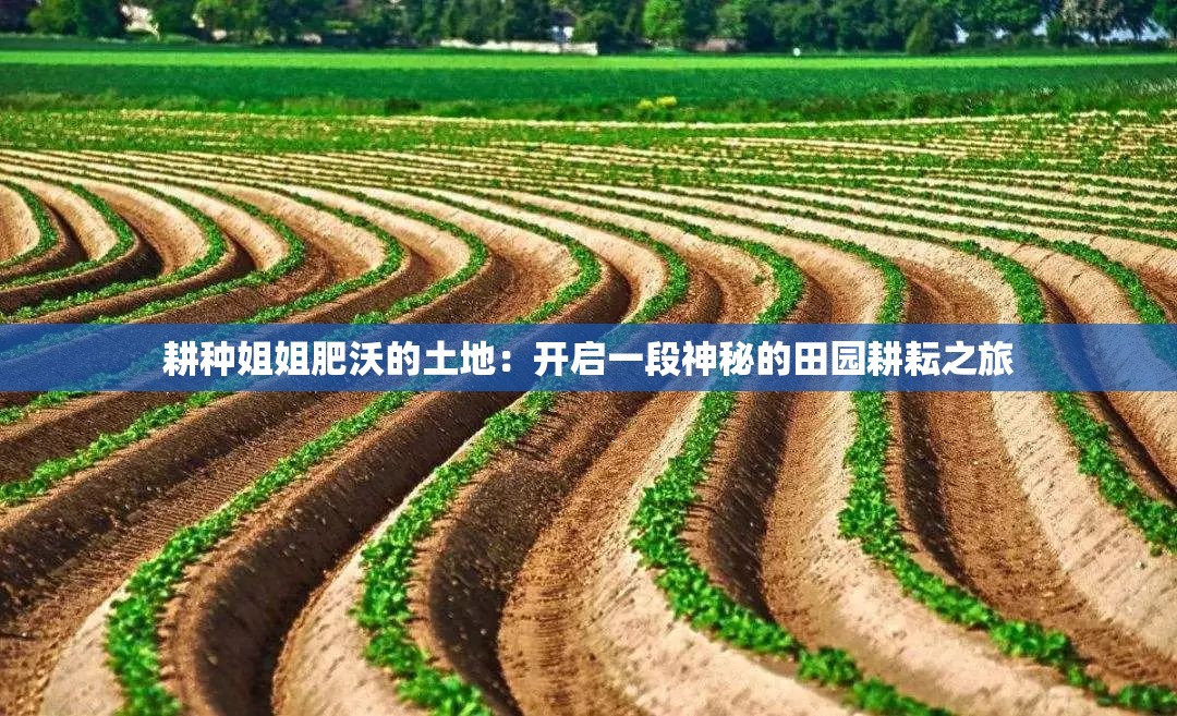 耕种姐姐肥沃的土地：开启一段神秘的田园耕耘之旅