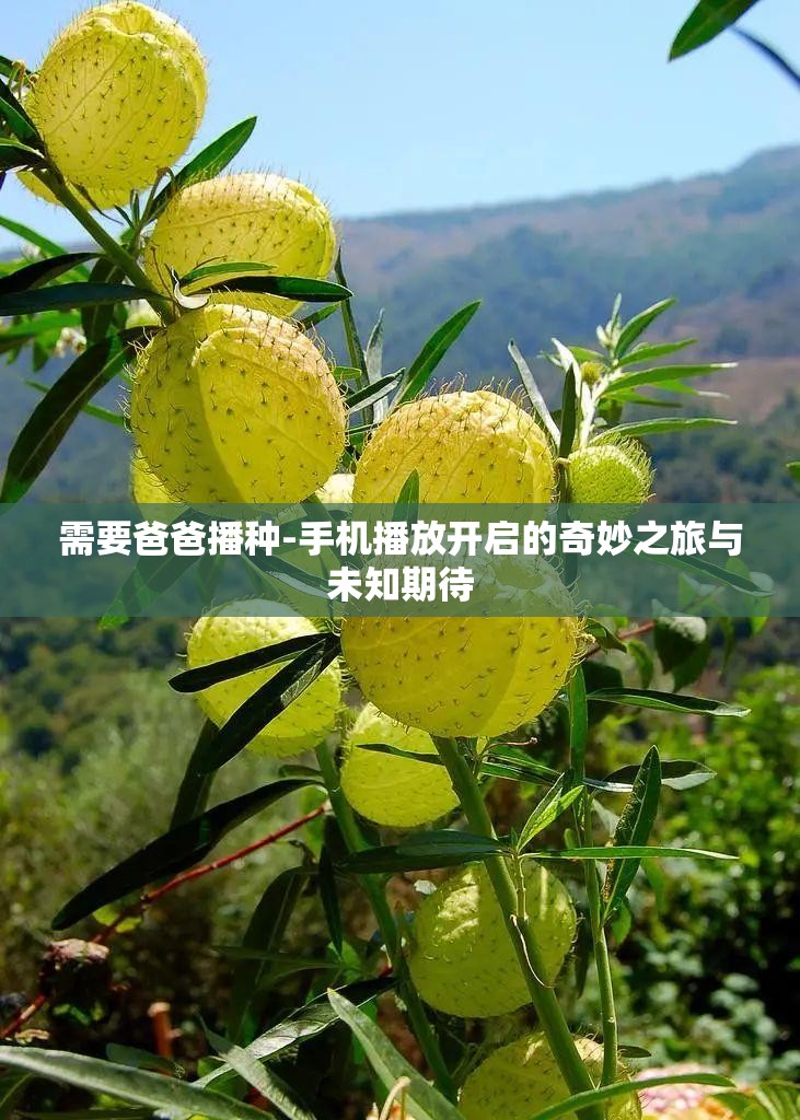 需要爸爸播种-手机播放开启的奇妙之旅与未知期待