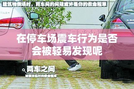 在停车场震车行为是否会被轻易发现呢