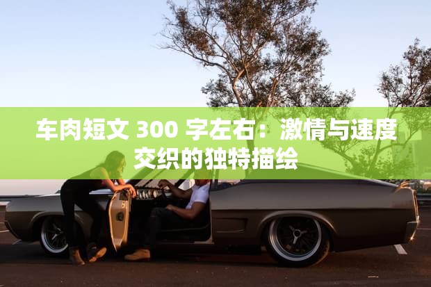 车肉短文 300 字左右：激情与速度交织的独特描绘