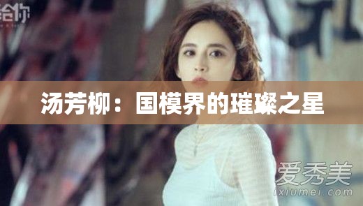 汤芳柳：国模界的璀璨之星