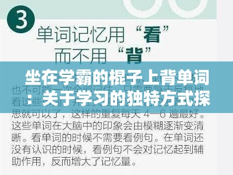 坐在学霸的棍子上背单词：关于学习的独特方式探讨