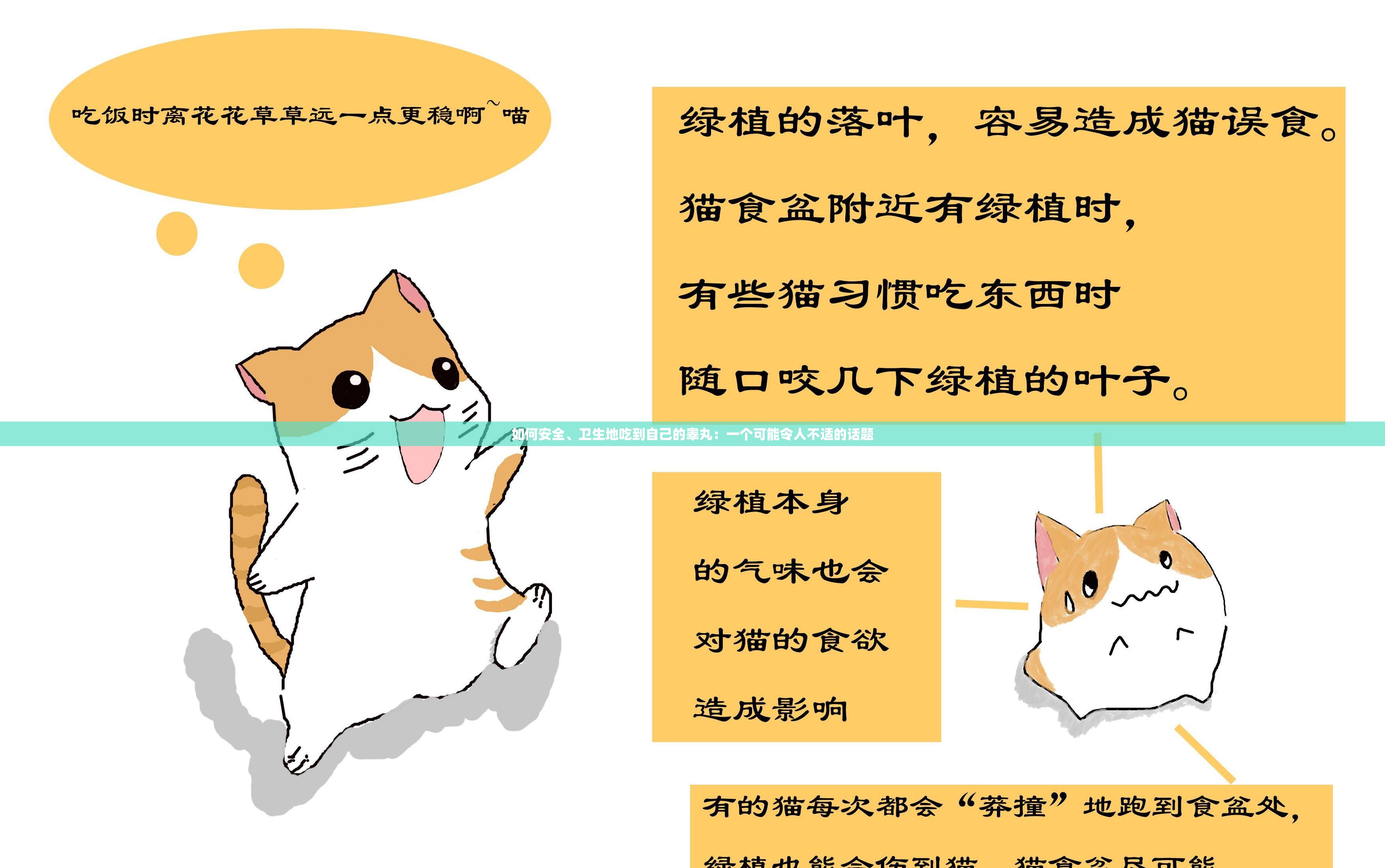 如何安全、卫生地吃到自己的睾丸：一个可能令人不适的话题