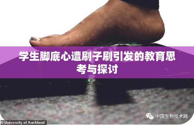 学生脚底心遭刷子刷引发的教育思考与探讨