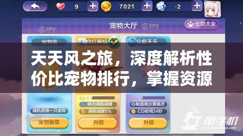 天天风之旅，深度解析性价比宠物排行，掌握资源管理的高效艺术