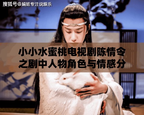 小小水蜜桃电视剧陈情令之剧中人物角色与情感分析