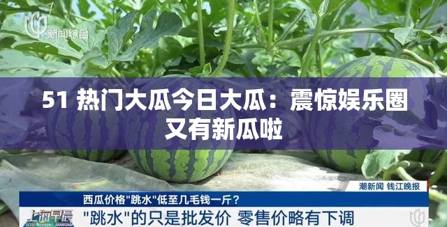 51 热门大瓜今日大瓜：震惊娱乐圈又有新瓜啦