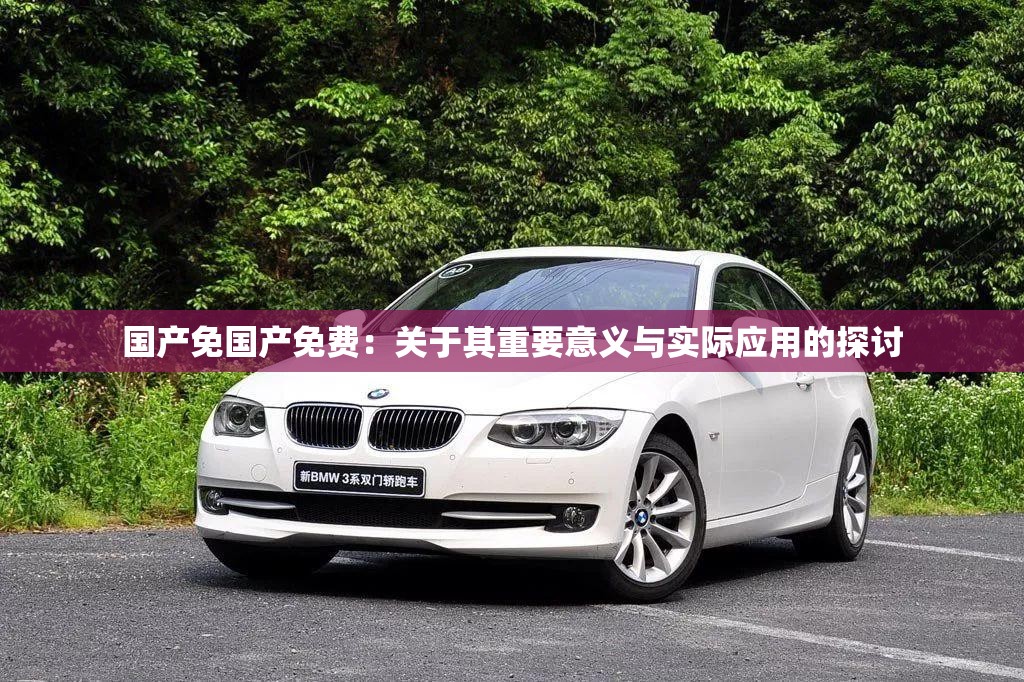 国产免国产免费：关于其重要意义与实际应用的探讨