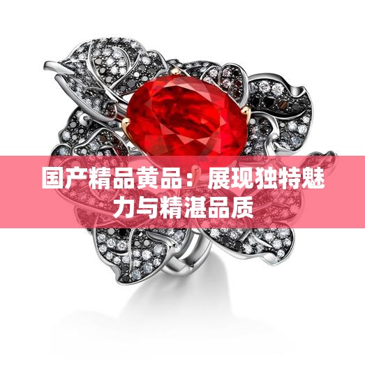 国产精品黄品：展现独特魅力与精湛品质