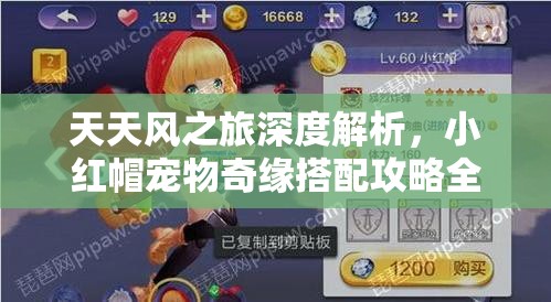 天天风之旅深度解析，小红帽宠物奇缘搭配攻略全揭秘