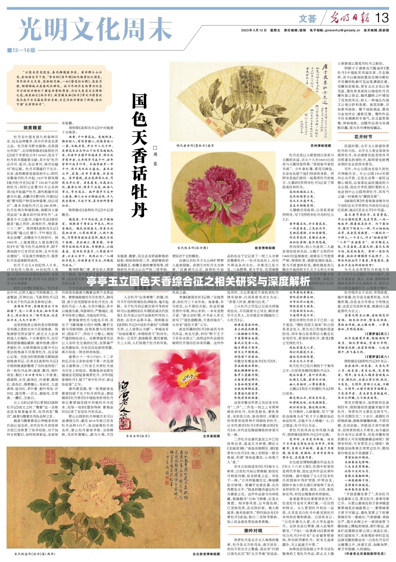 亭亭玉立国色天香综合征之相关研究与深度解析