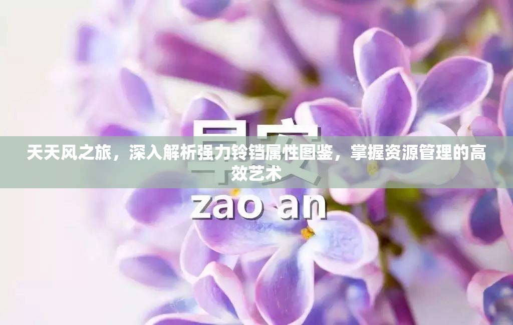 天天风之旅，深入解析强力铃铛属性图鉴，掌握资源管理的高效艺术