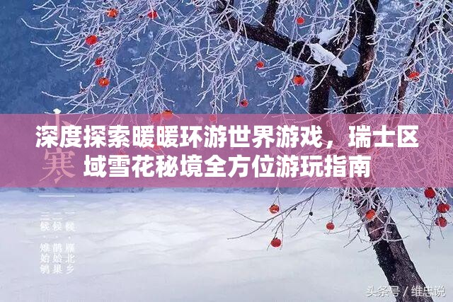 深度探索暖暖环游世界游戏，瑞士区域雪花秘境全方位游玩指南
