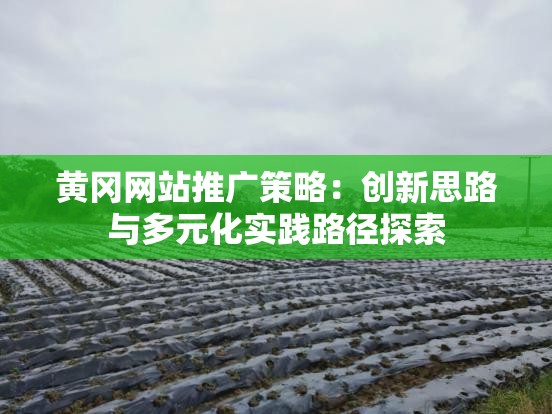 黄冈网站推广策略：创新思路与多元化实践路径探索