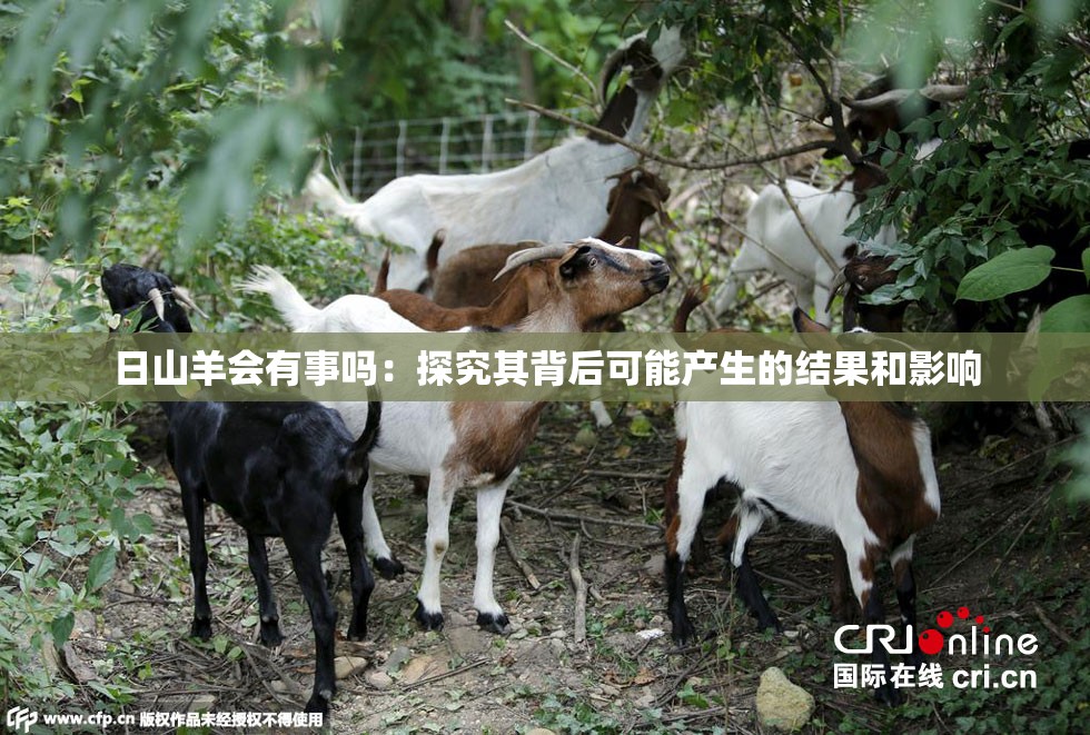日山羊会有事吗：探究其背后可能产生的结果和影响