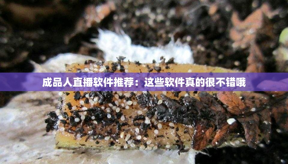 成品人直播软件推荐：这些软件真的很不错哦