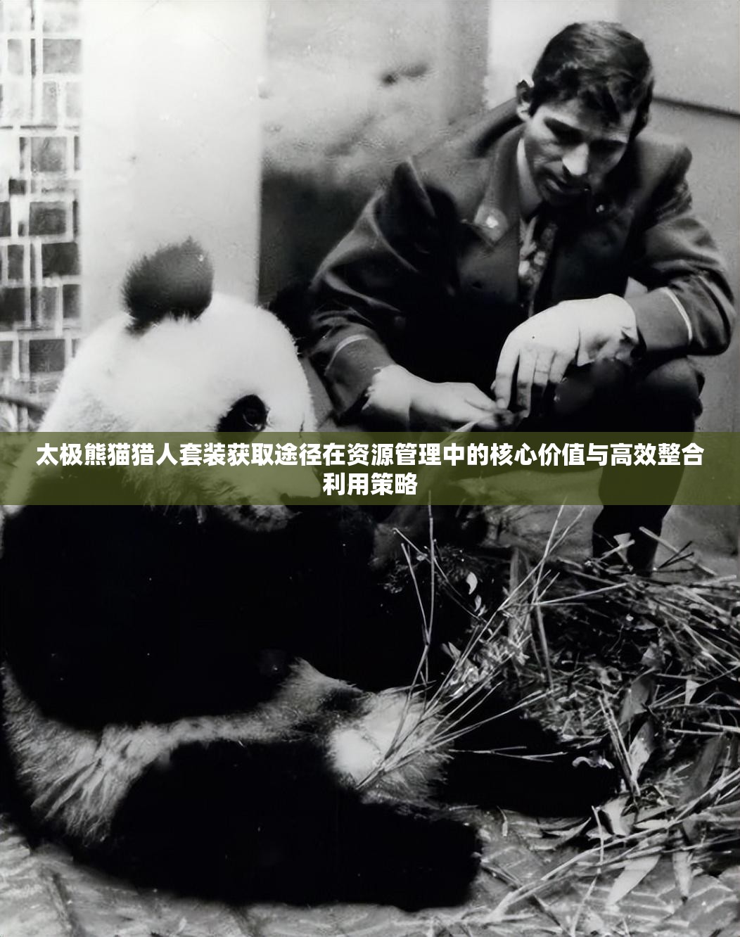 太极熊猫猎人套装获取途径在资源管理中的核心价值与高效整合利用策略