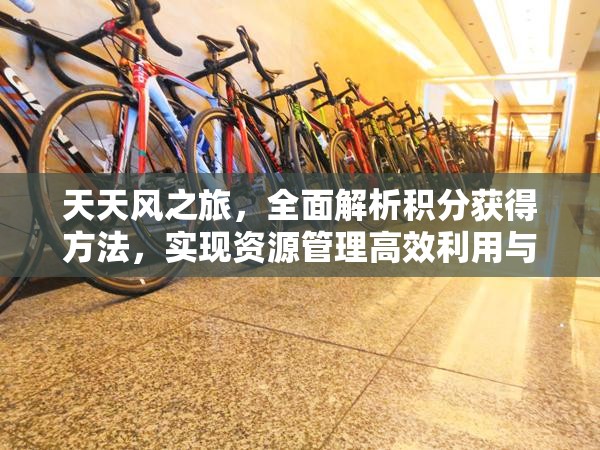 天天风之旅，全面解析积分获得方法，实现资源管理高效利用与价值最大化