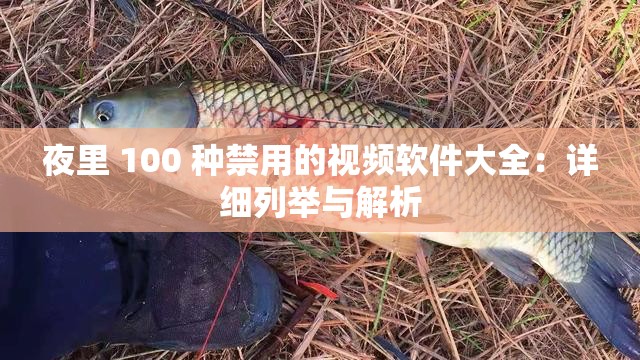 夜里 100 种禁用的视频软件大全：详细列举与解析