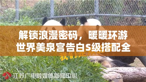 解锁浪漫密码，暖暖环游世界美泉宫告白S级搭配全攻略