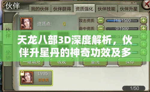天龙八部3D深度解析，伙伴升星丹的神奇功效及多元化获取策略