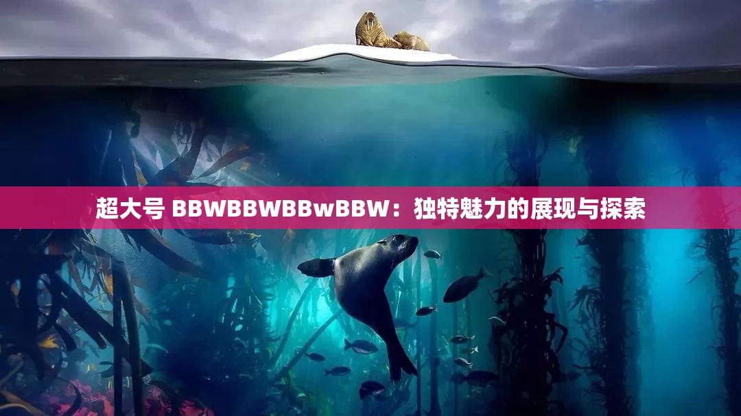 超大号 BBWBBWBBwBBW：独特魅力的展现与探索