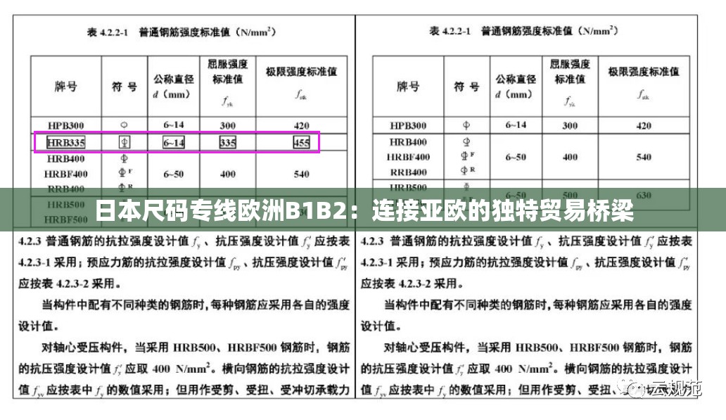 日本尺码专线欧洲B1B2：连接亚欧的独特贸易桥梁