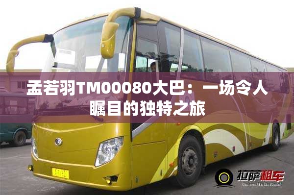 孟若羽TM00080大巴：一场令人瞩目的独特之旅