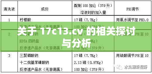 关于 17c13.cv 的相关探讨与分析