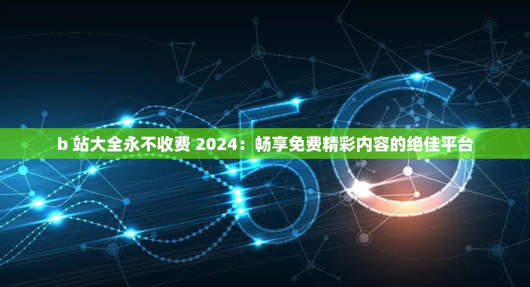 b 站大全永不收费 2024：畅享免费精彩内容的绝佳平台
