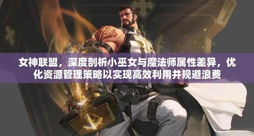 女神联盟，深度剖析小巫女与魔法师属性差异，优化资源管理策略以实现高效利用并规避浪费