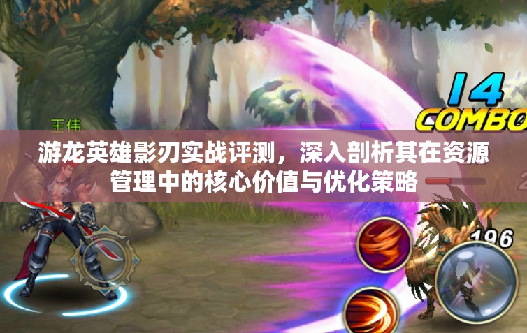 游龙英雄影刃实战评测，深入剖析其在资源管理中的核心价值与优化策略