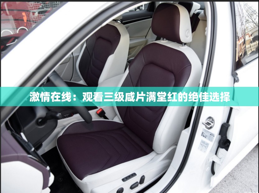 激情在线：观看三级咸片满堂红的绝佳选择