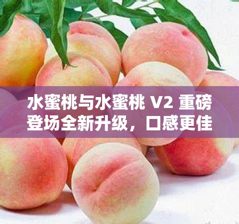 水蜜桃与水蜜桃 V2 重磅登场全新升级，口感更佳