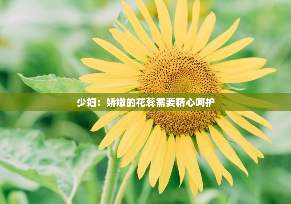 少妇：娇嫩的花蕊需要精心呵护
