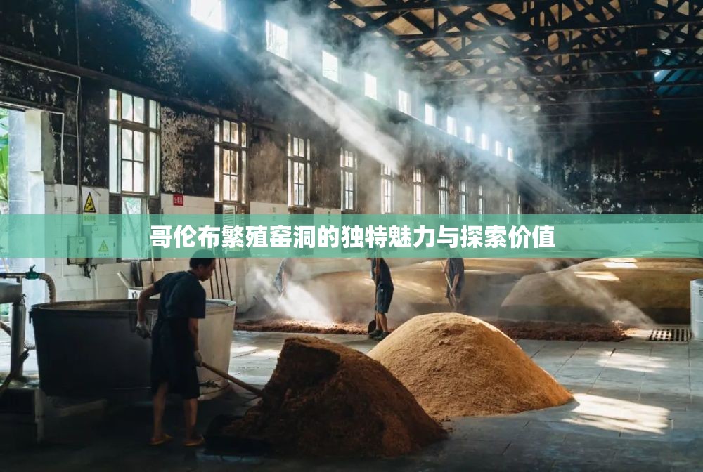 哥伦布繁殖窑洞的独特魅力与探索价值