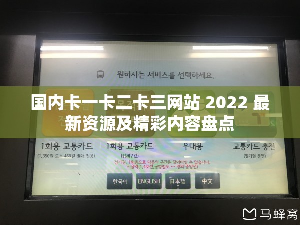 国内卡一卡二卡三网站 2022 最新资源及精彩内容盘点