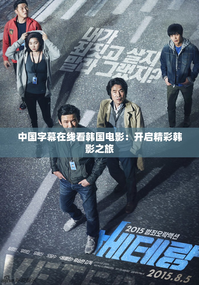 中国字幕在线看韩国电影：开启精彩韩影之旅