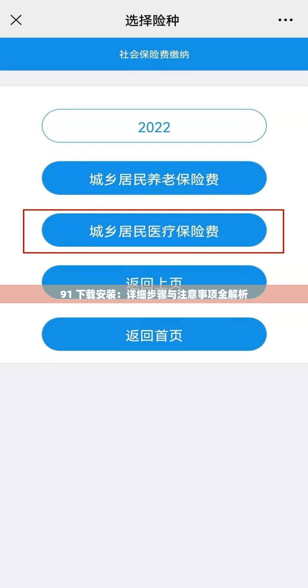 91 下载安装：详细步骤与注意事项全解析