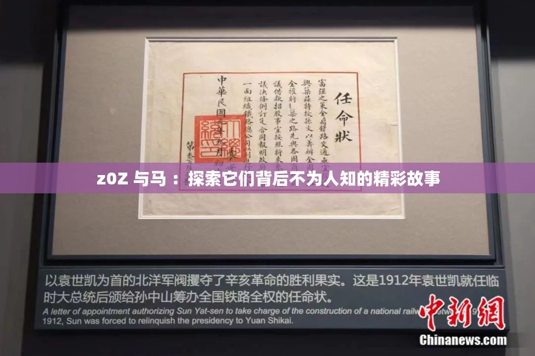 z0Z 与马 ：探索它们背后不为人知的精彩故事