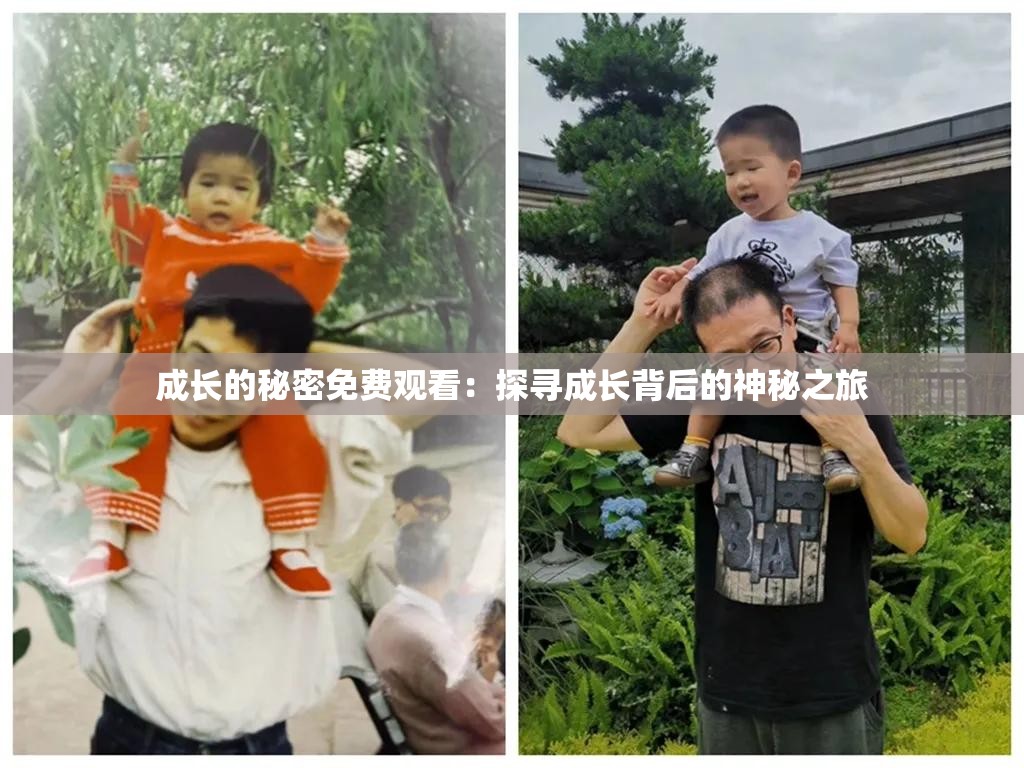 成长的秘密免费观看：探寻成长背后的神秘之旅