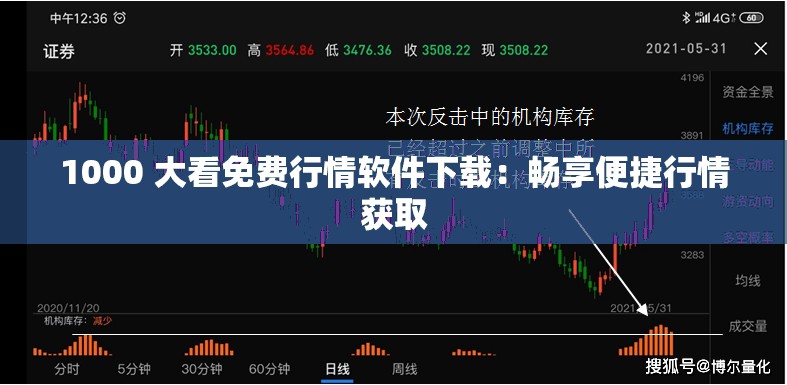 1000 大看免费行情软件下载：畅享便捷行情获取