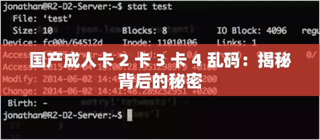 国产成人卡 2 卡 3 卡 4 乱码：揭秘背后的秘密