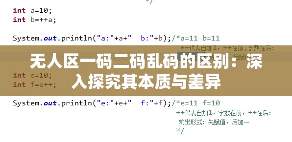 无人区一码二码乱码的区别：深入探究其本质与差异