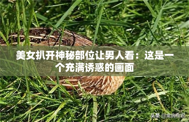 美女扒开神秘部位让男人看：这是一个充满诱惑的画面