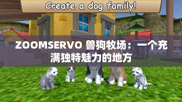 ZOOMSERVO 兽狗牧场：一个充满独特魅力的地方